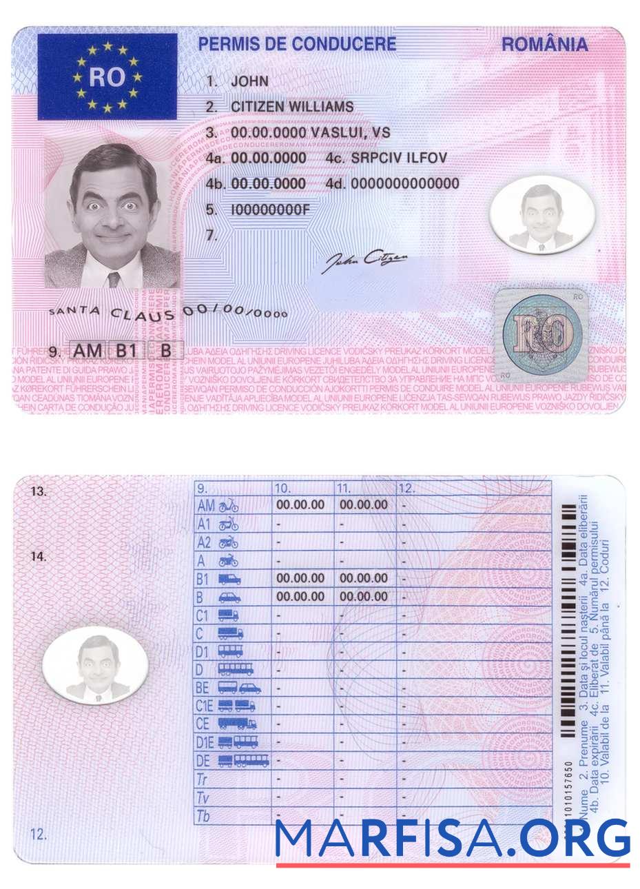Printable Romania driving license example